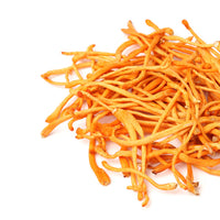 Grzyb Cordyceps