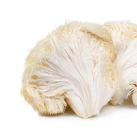 Lion’s Mane